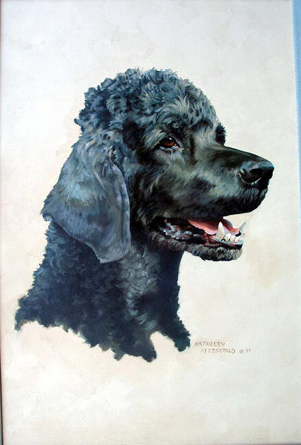 SUPERB KATHLEEN FITZGERALD OIL PAINTING OF BLACK POODLE