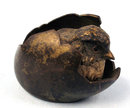 Early Cute Vienna Bronze of Chick in Egg Very Rare