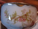Haviland Limoges Tea cup and Saucer, Schleiger 41C