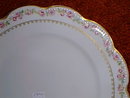 Haviland Limoges dinner plate Schleiger 526