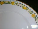 Haviland Limoges 16