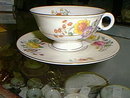 Haviland American
