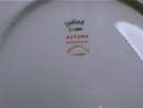 Haviland Limoges luncheon plate, Autumn Pattern