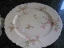 Haviland Limoges Macaroni Set, Schleiger 29
