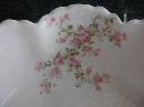 Haviland Limoges Macaroni Set, Schleiger 29