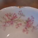Haviland Limoges Cereal Bowl, Sch 36-D