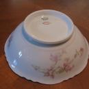 Haviland Limoges Cereal Bowl, Sch 36-D