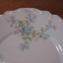 Haviland Limoges Ramekin Cup & Saucer, Sch 29M