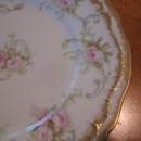 Haviland Limoges Bread/butter plate, sch 312E