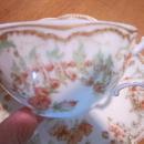 Haviland Limoges tea cup and saucer