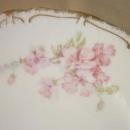 Haviland Limoges luncheon plate, Sch 442D