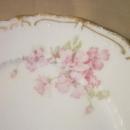 Haviland Limoges luncheon plate, Sch 442D