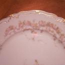 Haviland Limoges Dinner Plate, Sch 475E