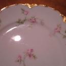 Haviland Limoges bread/butter plate, Schleiger 31
