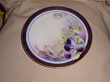 Haviland Limoges Hand Painted by White Art Studio decorator plate