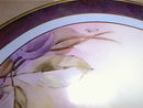 Haviland Limoges Hand Painted by White Art Studio decorator plate