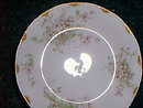 Haviland Limoges soup bowl, Schleiger 146