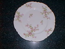 Haviland Limoges dinner plate, Schleiger 29