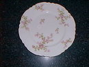 Haviland Limoges dinner plate, Schleiger 29