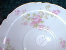 Haviland Limoges tea cup and saucer, Schleiger 29