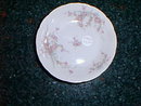 Haviland Limoges 5