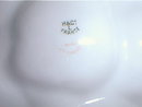 Haviland Limoges Oyster plate