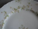 Haviland Limoges Dinner Plate, Sch 74