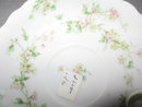 Haviland Limoges teacup and saucer, Sch 74