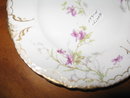 Haviland Limoges Bread & Butter plate, Sch 148B