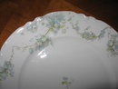 Haviland Limoges Dinner plate, Schleiger 248B