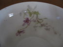 Haviland Limoges Teacup and saucer, Sch 148A violets