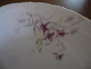 Haviland Limoges , 5