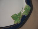 Haviland Limoges Dinner plate, Jardin D'Hiver