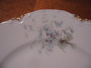 Haviland Limoges Luncheon Plate with Blue Violets
