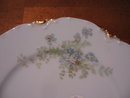 Haviland Limoges Luncheon plate, Sch 52B