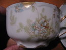 Haviland Limoges Tea Cup and Saucer, Sch 52B