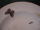Haviland Limoges Rimmed Soup, Meadow Visitors