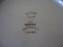 Haviland Limoges Dinner Plate, The Norma