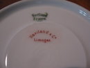 Haviland Limoges demitasse cup & saucer, red flowers, Schleiger 106