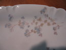 Haviland Limoges Relish dish, blue flowers