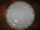 Haviland Limoges Dinner plate, Sch 108