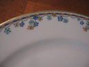 Haviland Limoges Dinner plate, Sch 108