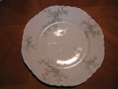 Haviland Limoges Dinner plate, Schleiger 29M