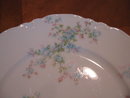Haviland Limoges Dinner plate, Schleiger 29M