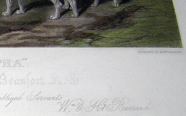 W&H Barraud Horse Hunting Engraved Print