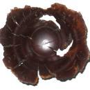 Hap Sakwa Wild Lilac Lotus Wooden Bowl