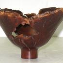 Hap Sakwa Wild Lilac Lotus Wooden Bowl
