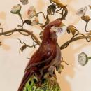 Pair Antique Porcelain & Metal Parrot Candelabra Table Lamps
