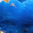 Exceptional Antique Blue Opaline Glass Chandelier