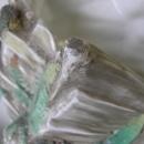 Rare Antique English Royal Worcester Porcelain Jardiniere c1863-